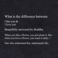 Difference between Like and Love